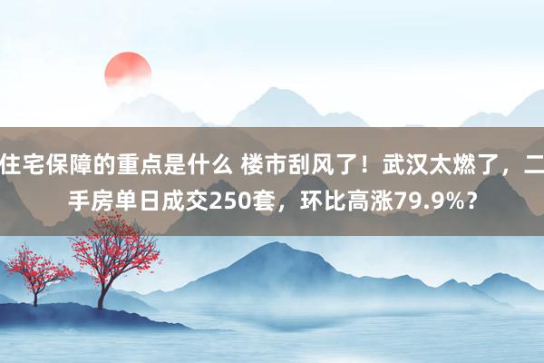 住宅保障的重点是什么 楼市刮风了！武汉太燃了，二手房单日成交250套，环比高涨79.9%？