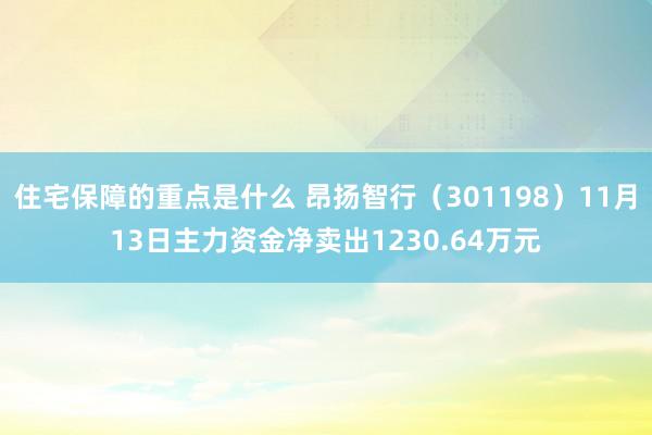 住宅保障的重点是什么 昂扬智行（301198）11月13日主力资金净卖出1230.64万元