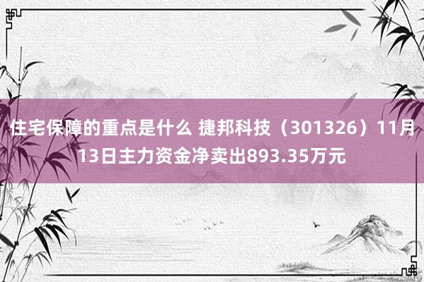 住宅保障的重点是什么 捷邦科技（301326）11月13日主力资金净卖出893.35万元