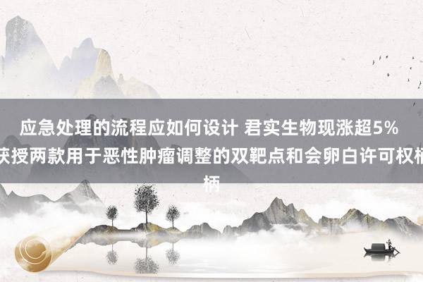 应急处理的流程应如何设计 君实生物现涨超5% 获授两款用于恶性肿瘤调整的双靶点和会卵白许可权柄