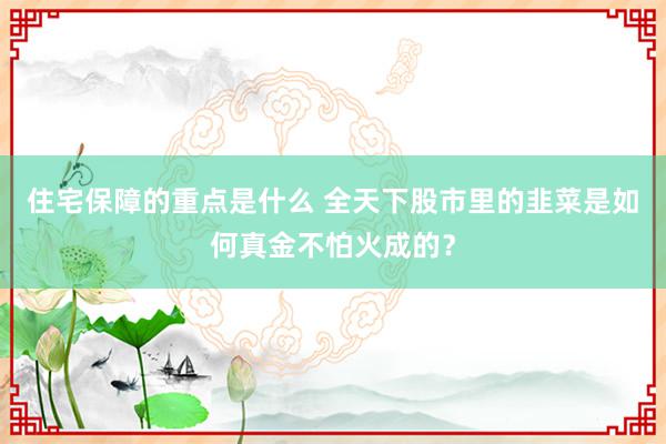 住宅保障的重点是什么 全天下股市里的韭菜是如何真金不怕火成的？