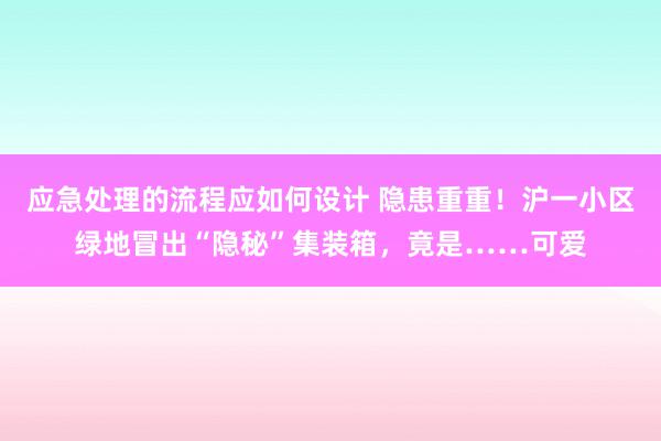 应急处理的流程应如何设计 隐患重重！沪一小区绿地冒出“隐秘”集装箱，竟是……可爱