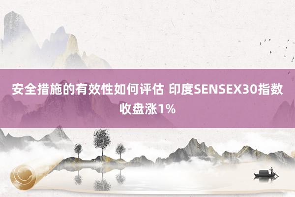 安全措施的有效性如何评估 印度SENSEX30指数收盘涨1%