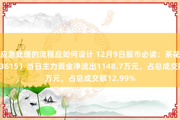 应急处理的流程应如何设计 12月9日股市必读：茶花股份（603615）当日主力资金净流出1148.7万元，占总成交额12.99%