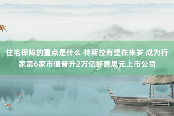 住宅保障的重点是什么 特斯拉有望在来岁 成为行家第6家市值晋升2万亿好意思元上市公司