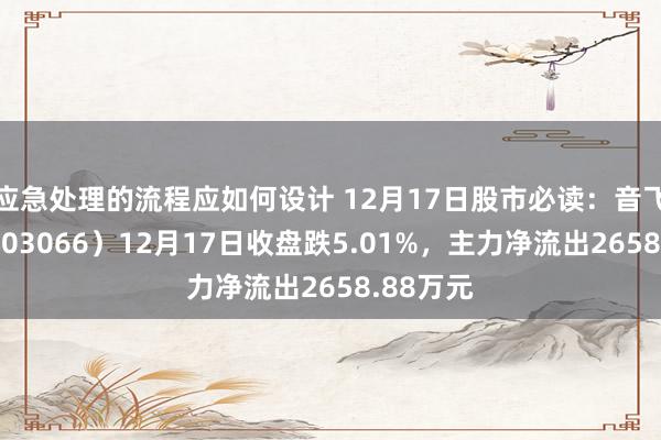 应急处理的流程应如何设计 12月17日股市必读：音飞储存（603066）12月17日收盘跌5.01%，主力净流出2658.88万元