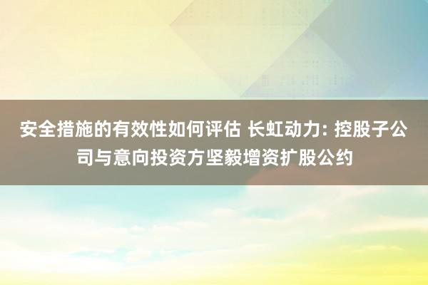 安全措施的有效性如何评估 长虹动力: 控股子公司与意向投资方坚毅增资扩股公约