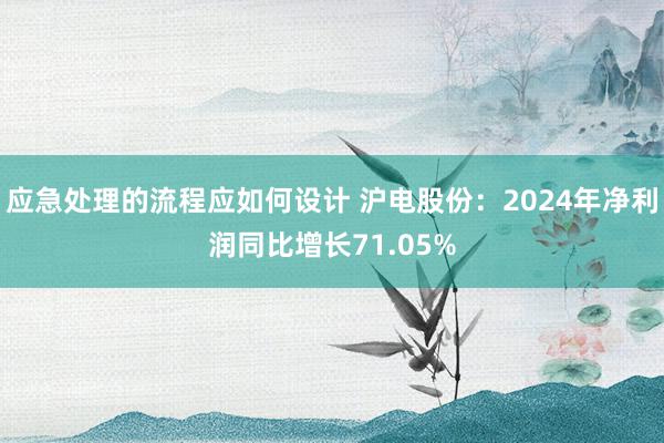 应急处理的流程应如何设计 沪电股份：2024年净利润同比增长71.05%