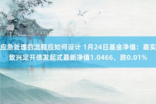 应急处理的流程应如何设计 1月24日基金净值：嘉实致兴定开债发起式最新净值1.0466，跌0.01%