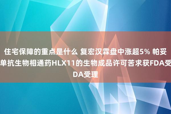 住宅保障的重点是什么 复宏汉霖盘中涨超5% 帕妥珠单抗生物相通药HLX11的生物成品许可苦求获FDA受理