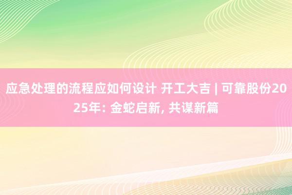 应急处理的流程应如何设计 开工大吉 | 可靠股份2025年: 金蛇启新, 共谋新篇