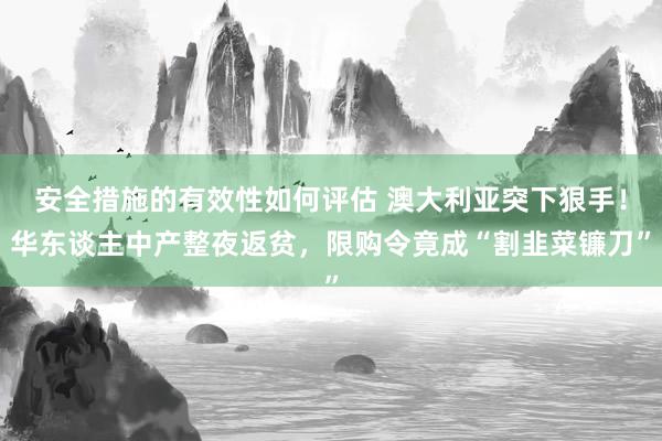 安全措施的有效性如何评估 澳大利亚突下狠手！华东谈主中产整夜返贫，限购令竟成“割韭菜镰刀”