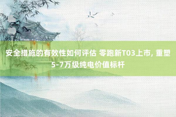 安全措施的有效性如何评估 零跑新T03上市, 重塑5-7万级纯电价值标杆