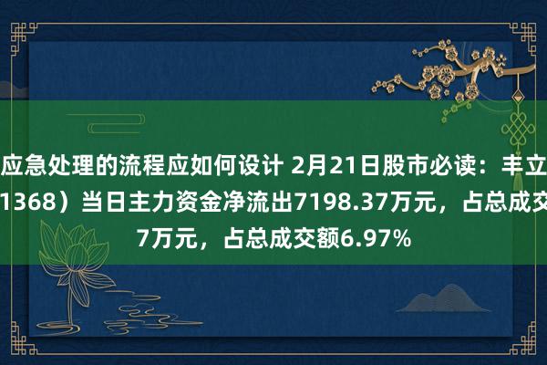 应急处理的流程应如何设计 2月21日股市必读：丰立智能（301368）当日主力资金净流出7198.37万元，占总成交额6.97%