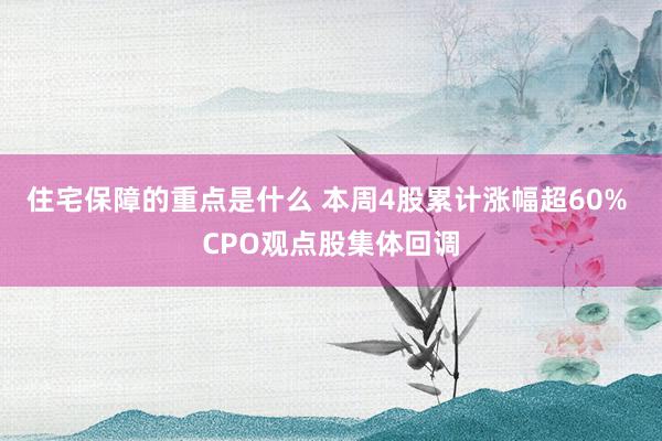 住宅保障的重点是什么 本周4股累计涨幅超60% CPO观点股集体回调