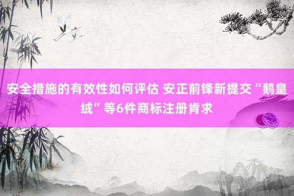 安全措施的有效性如何评估 安正前锋新提交“鹅皇绒”等6件商标注册肯求