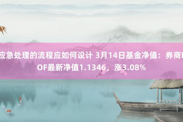 应急处理的流程应如何设计 3月14日基金净值：券商LOF最新净值1.1346，涨3.08%